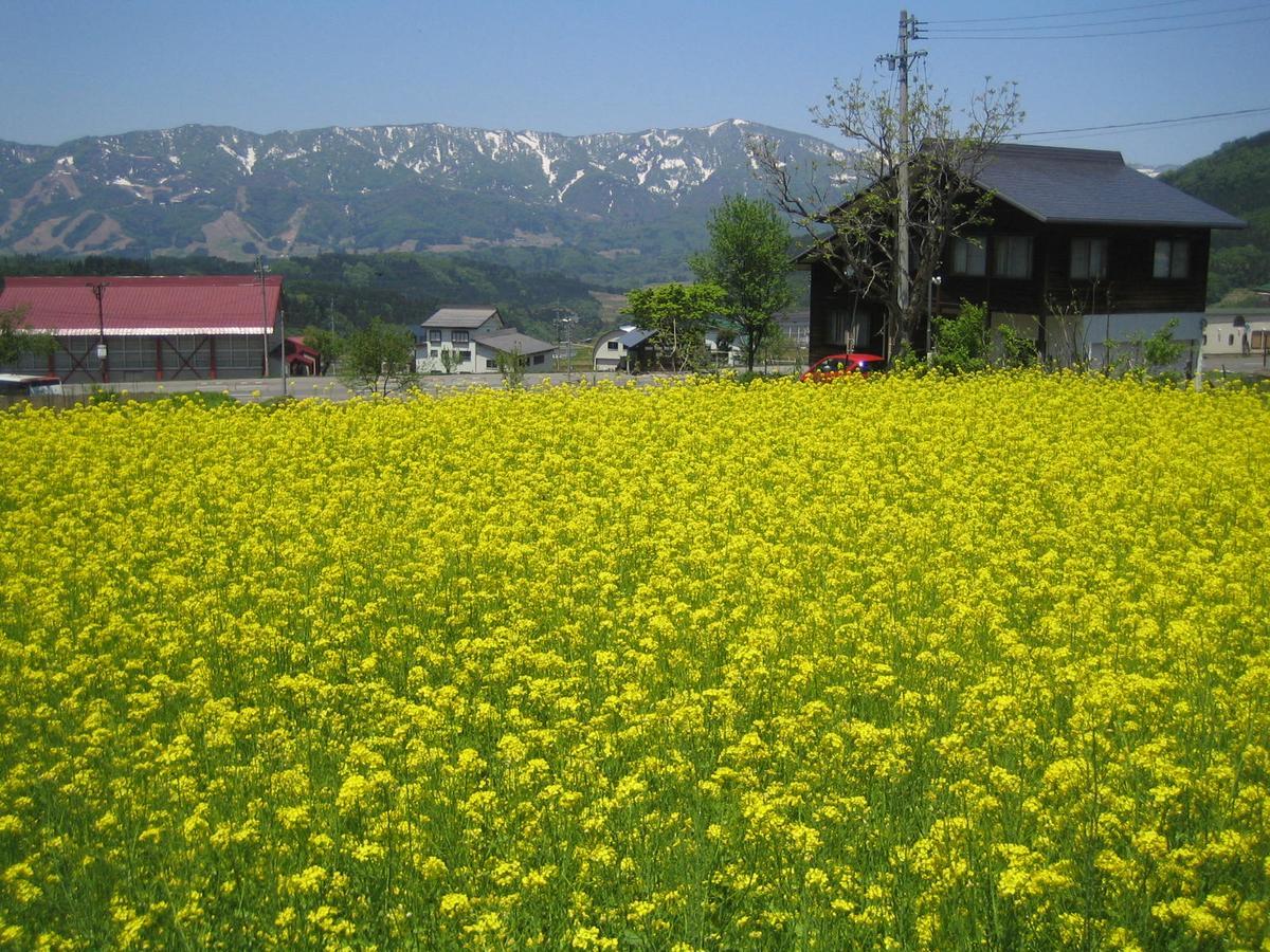 Hotel Inaka No Yado Sawa Nozawaonsen Exterior foto